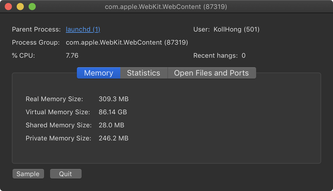 메모리 사용 정보